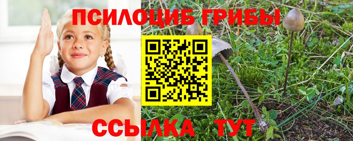 Псилоцибиновые грибы Psilocybe Мирный